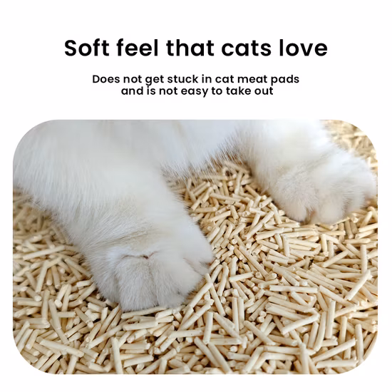 중국산 큰 할인 두부 고양이 쓰레기